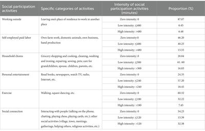 The impact of intergenerational support on social participation patterns of older adults in rural China